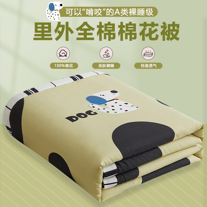 2024新疆綿インターネットセレブスタイル純綿夏クラスa内外純綿シングルとダブルエアコンサマーキルト 6,949円