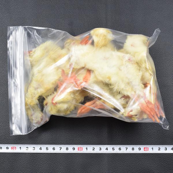 国産の冷凍ひよこ 業務用 200羽【クール便発送】大型魚 猛禽類 爬虫類 肉食 鶏肉 ヘビ ウズラ 鳥 エサ 餌 フード ヒヨコ