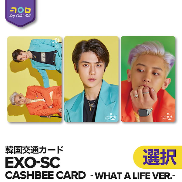 EXO - EXO カードウォレット チャニョル EXO Chanyeol チャニョル -Exist公式フォトカード - メルカリ