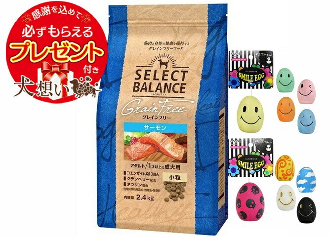 【プレゼント付】セレクトバランス グレインフリー アダルトサーモン 小粒 2.4kg【スマイルエッグ付】