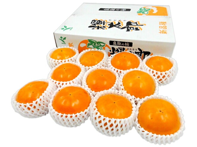 鳥取産 =輝太郎柿= 赤秀品 8-12玉前後 約3kg 予約 10月以降