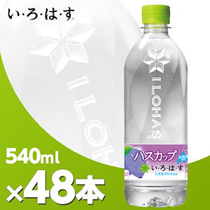 いろはす ハスカップ 540mlPET 2ケース48本 メーカー直送 代引不可 北海道内送料無料 /コカコーラ いろはす