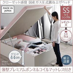 組立設置付]クローゼット跳ね上げベッド [エマーブル] 薄型プレミアム 