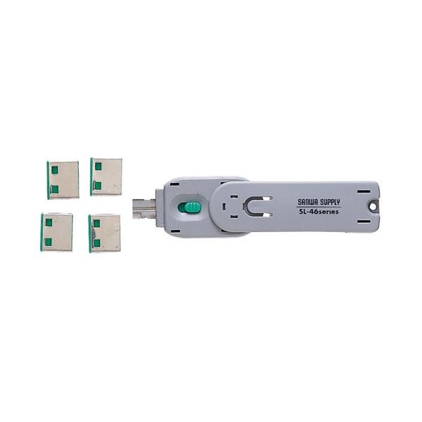 (まとめ)サンワサプライ USBコネクタ取付けセキュリティ SL-46-G(2セット)