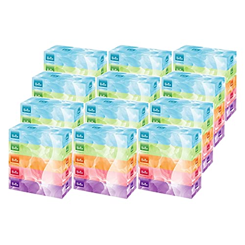 ユニバーサルペーパー(Universal Paper) パルプ材 コンパクトボックスティシュ ホワイト 2枚組 150組 5個1パック x12パック入