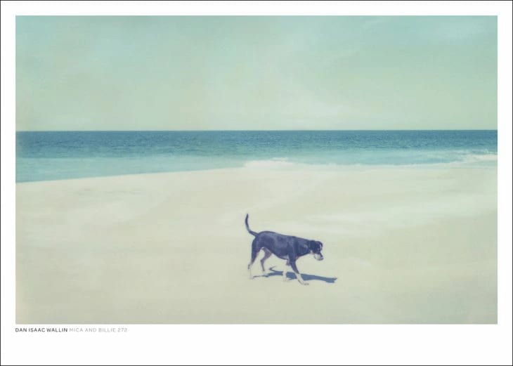 DAN ISAAC WALLIN MICA AND BILLIE 272