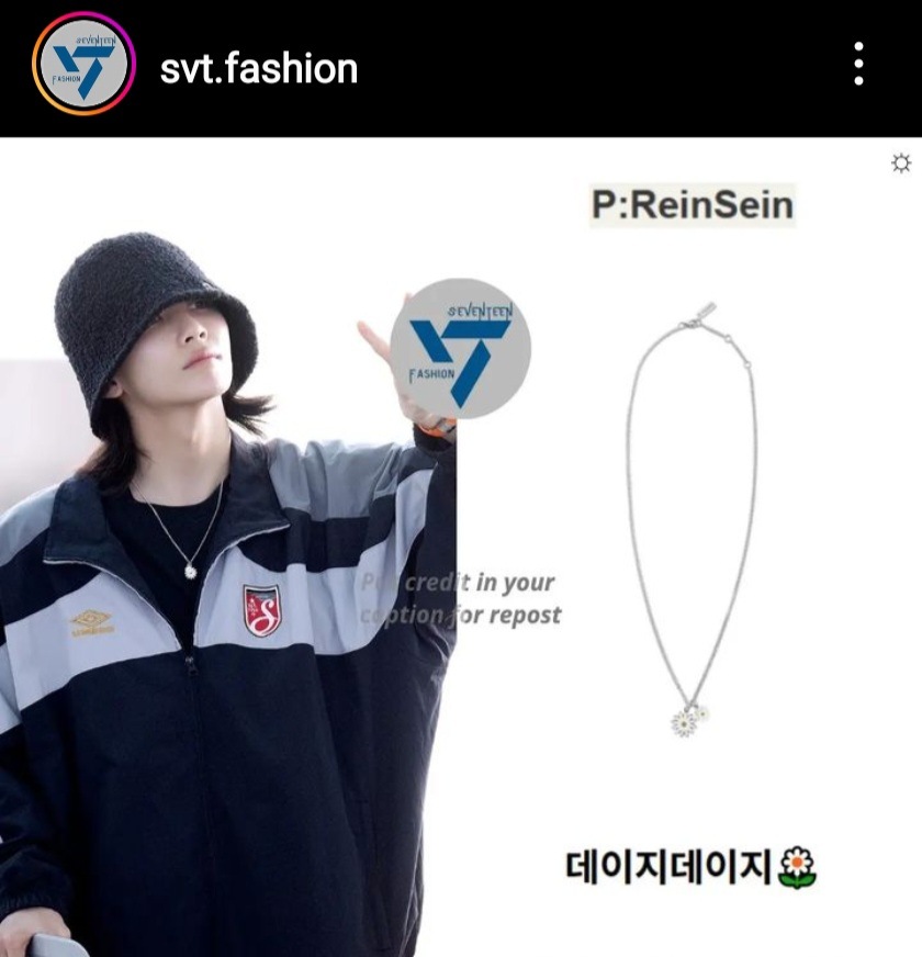 Reinsein/Seventeen jeonghan wear/daisy daisy