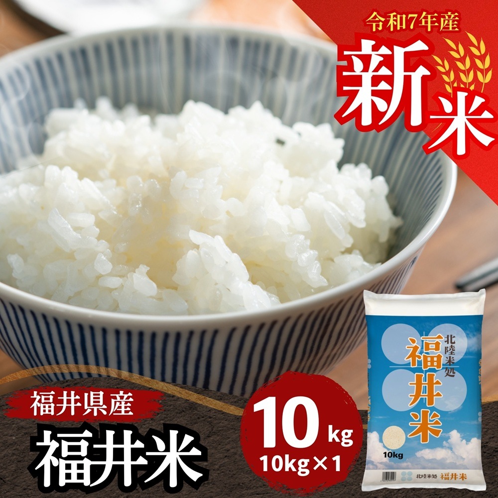 【数量限定】新米 令和7年産 福井県産福井米10kg 白米 北陸米処