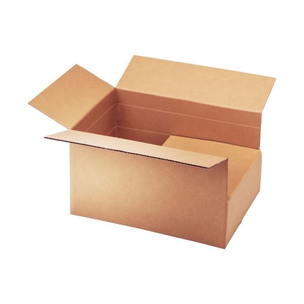 TANOSEE 無地ダンボール箱 A3（2L）サイズ 高さ調整タイプ 1パック（10枚） 5,347円