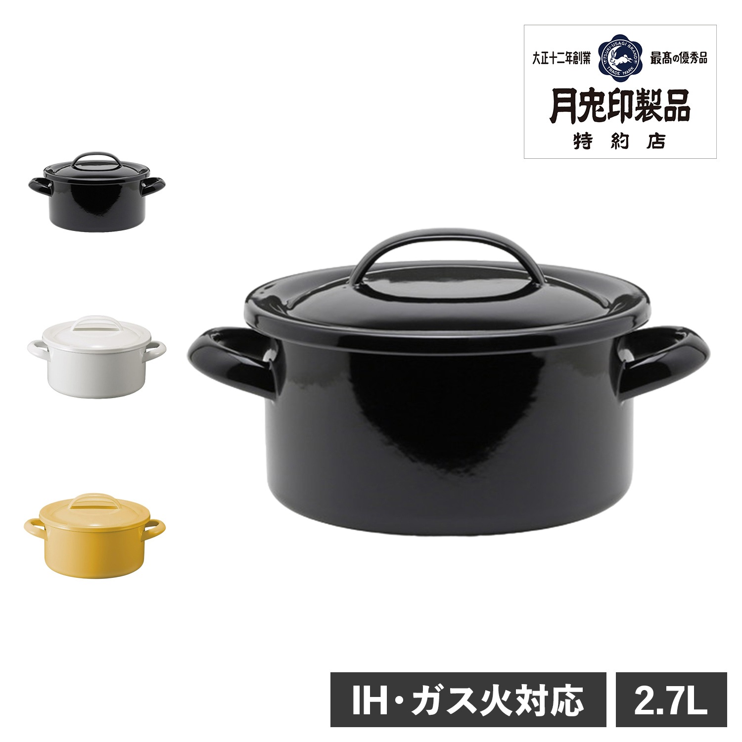 琺瑯鍋 両手鍋 キャセロール ホーロー 特約店限定 2.7L 19cm IH ガス火対応 日本製 フジイ 野田琺瑯