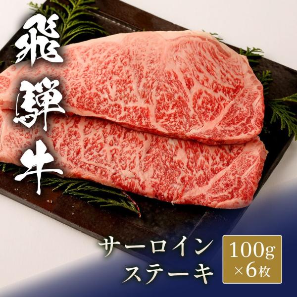 飛騨牛 ステーキ サーロイン 100g x 6枚 / 牛肉 ギフト