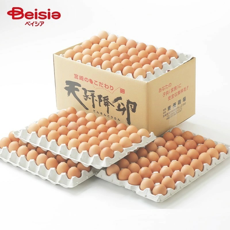 東養鶏場 天孫降卵 約10kg（175個）M 業務用 東養鶏場 卵 訳あり 産地直送 卵かけご飯 卵焼き 卵料理 美味しい卵 新鮮卵 栄養満点 こだわり卵