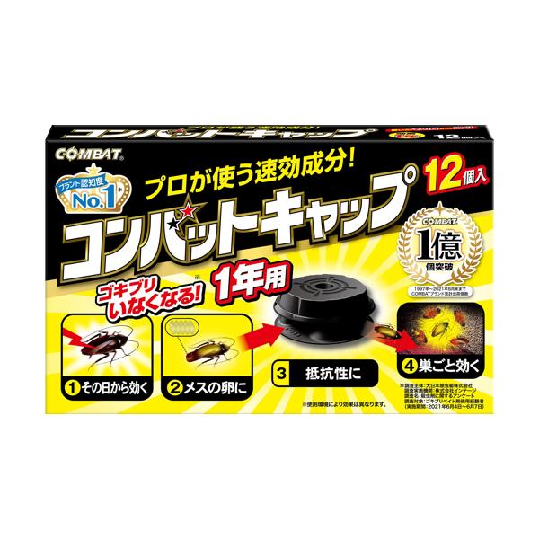 �R���o�b�g�L���b�v 1�N�p 12��