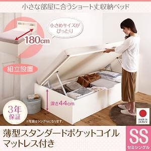 [組立設置料込み]小さな部屋に合う ショート丈 収納ベッド [Odette]オデット [薄型スタンダードポケットコイルマットレス付き] セミシングル 深さグランド
