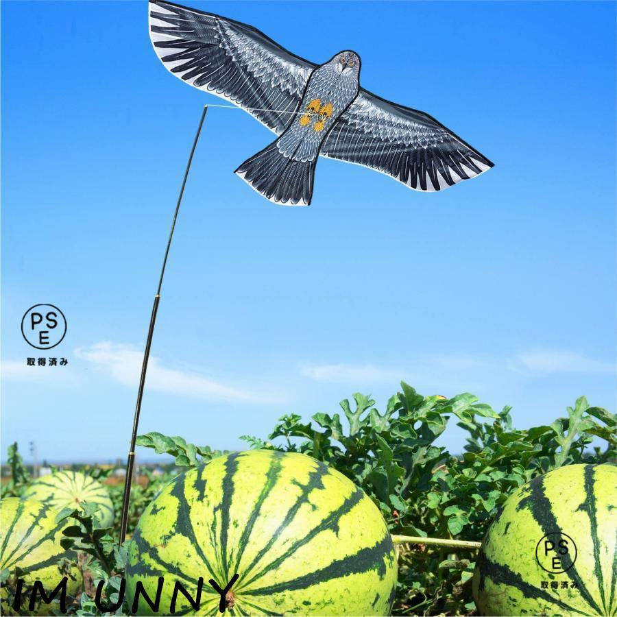 【即納】 鳥よけ カイト 鷹 (ポール竿付) 軽量丈夫 防鳥具 鳥追い 畑 植物保護 農業用 カイト鷹 1.5m凧 4mポール