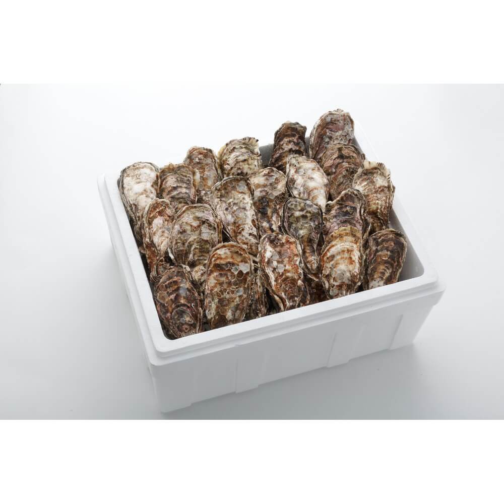 アミスイ 殻付牡蠣 4kg入 (24個から32個 広島牡蠣 殻付 広島 海産物