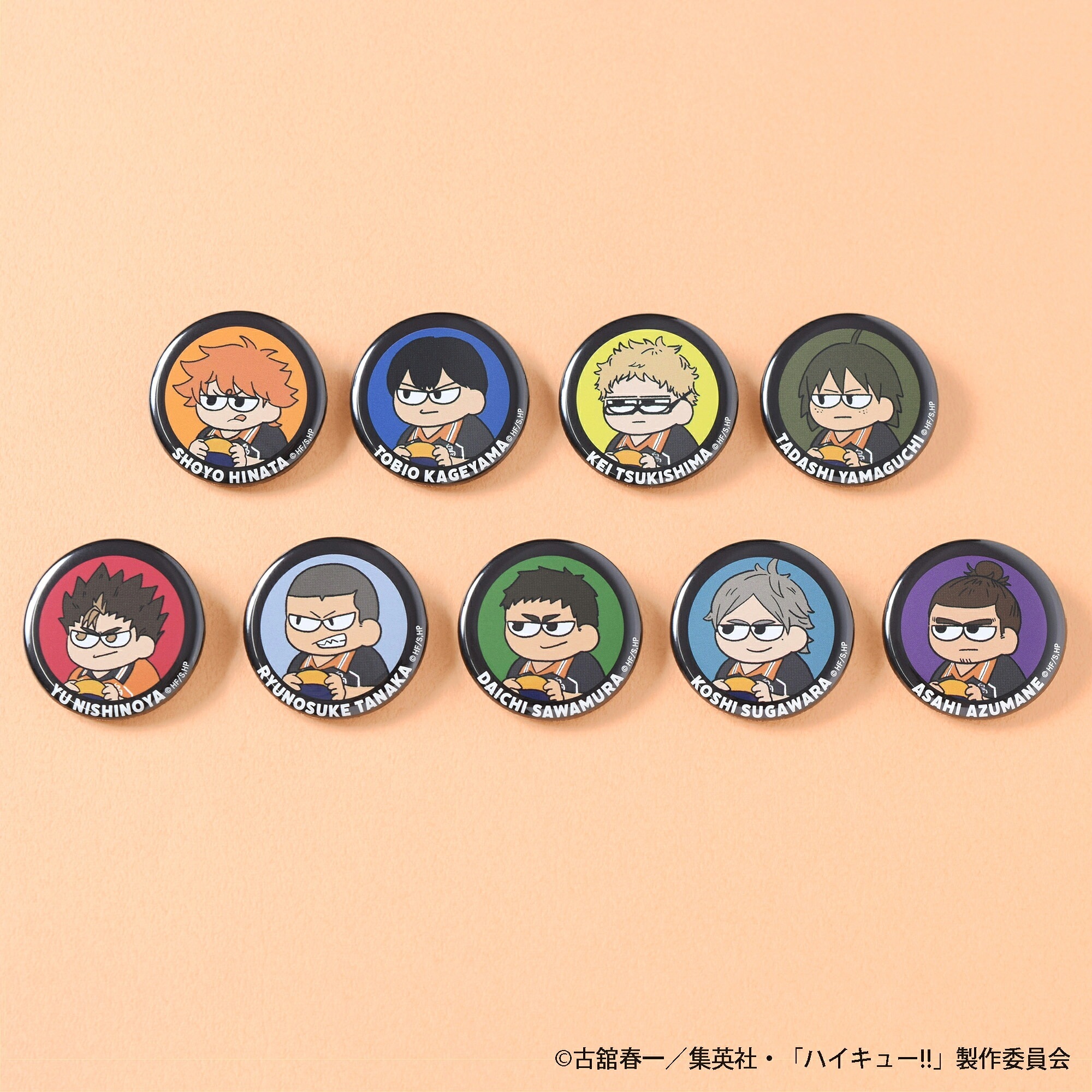 【新品/公式】 ハイキュー!!_ジロリ 缶バッジ烏野【BOX／9個入り】 公式グッズ