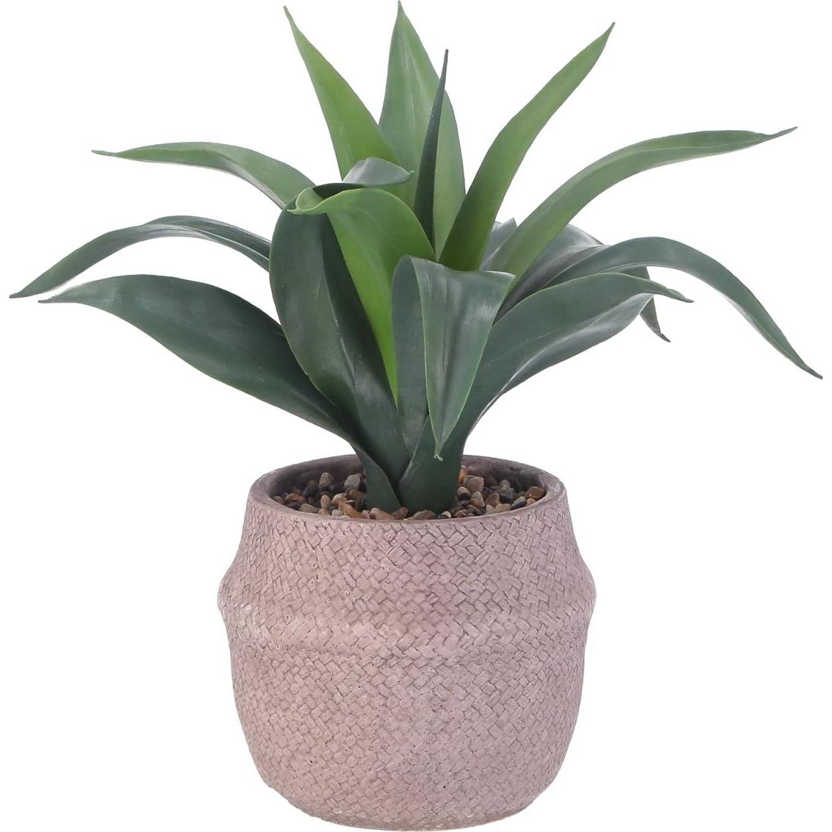 【I】不二貿易 フェイクグリーン アガベ セメントポット インテリアグリーン 人工観葉植物 41135 5,282円