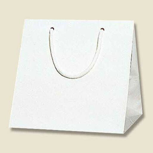 （まとめ買い）シモジマ HEIKO 手提げ紙袋 ブライトバッグ C-2 シロ 10枚 幅230xマチ200x高230mm 006459600 [x3セット]