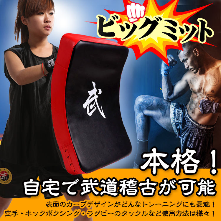 ビッグ3天出荷 ミット 打撃ミット 空手 キックボクシング 武道 総合格闘技 トレーニング ストレス解消 運動不足 初心者 上級者 de087 5,314円
