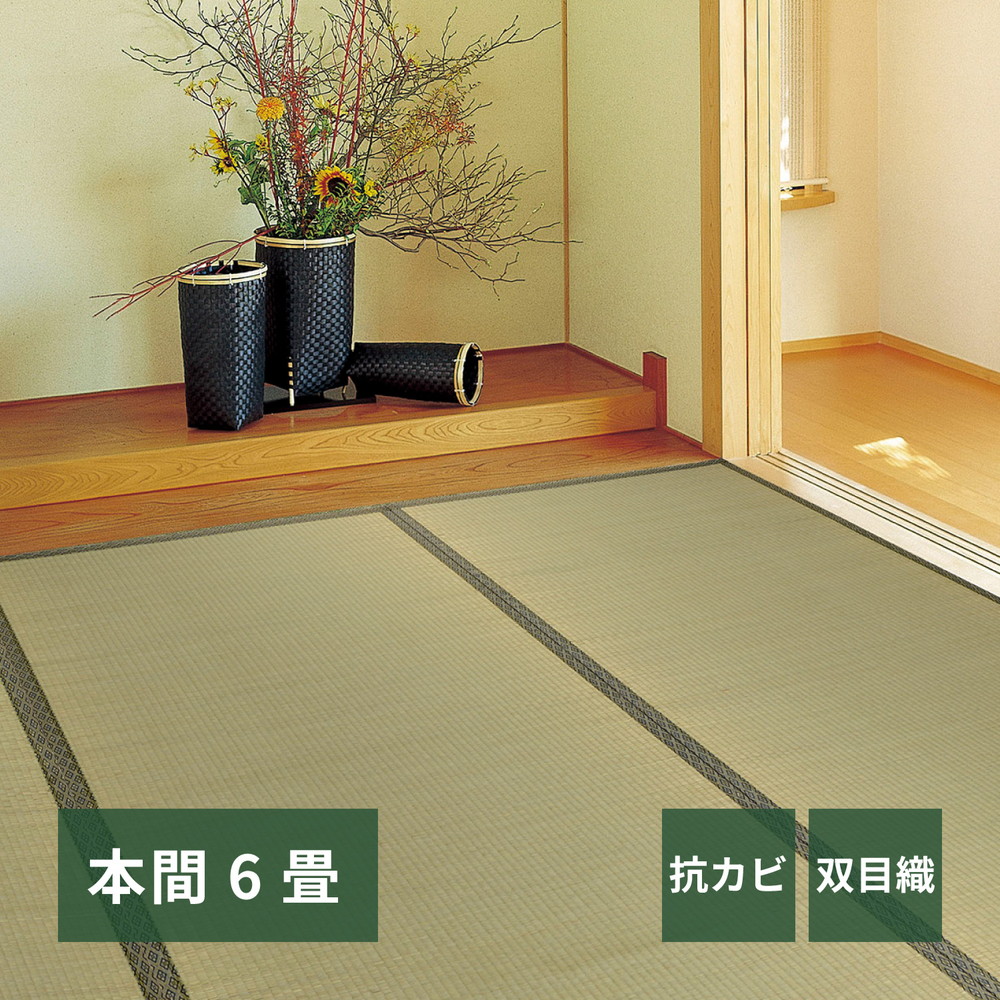 い草カーペット [柳川（やながわ）] 本間 6帖（286x382cm） グリーン