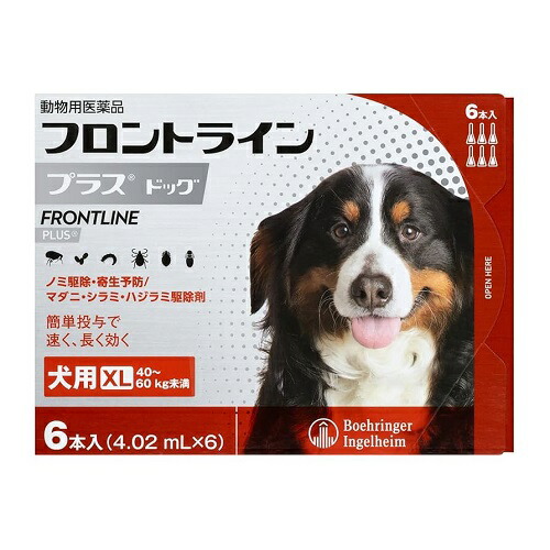 フロントライン 犬用 XL 40~60kg未満 6本入 ノミ 蚤 ダニ ハジラミ 駆除剤 駆除液 動物用医薬品 ペット用医薬品 中型犬 大型犬 フロントラインプラスドッグ(代引不可)