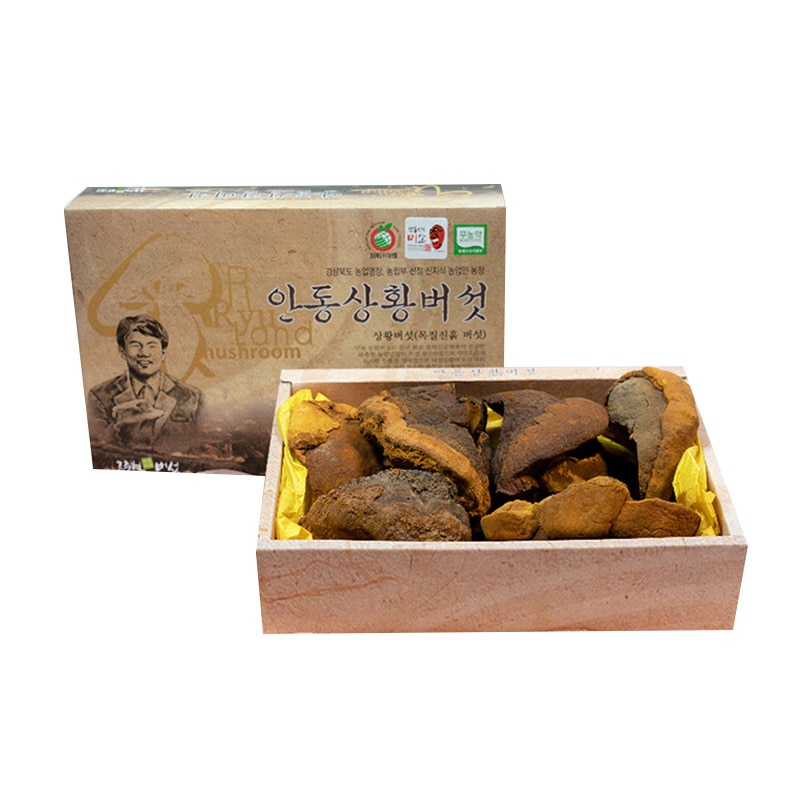 CYSO リュチュンヒョン 安東メシマコブ 250g 韓国 薬用キノコ メシマコブ 健康食品 美味しいもの 韓国本場の味 味付け 美味しいもの お土産 韓国産 9,250円