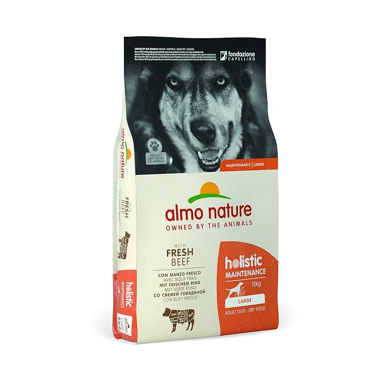 アルモネイチャー (almo nature) 大型犬用 ビーフ12kg 766