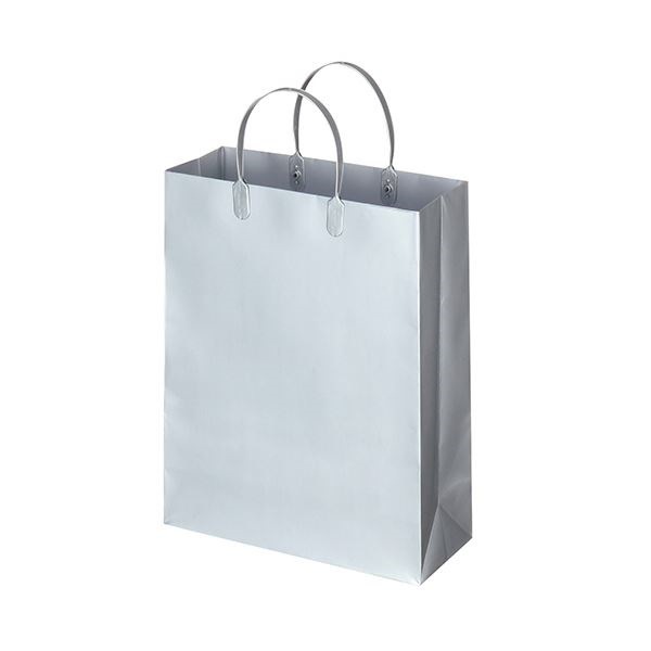 （まとめ）TANOSEE ラミネートバッグ 中縦タイプ シルバー 1パック（10枚） [x10]