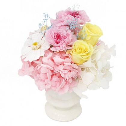 A＆K プリザーブドフラワー ミニョン(花器付き) MF-10