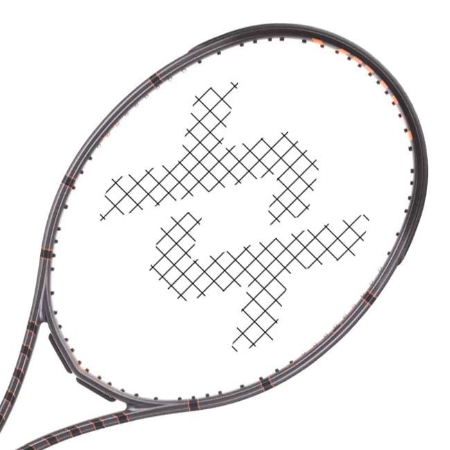 フォルクル(Volkl) 2024 Vostra V9 ボストラ V9 (290g) 日本正規代理店品 硬式テニスラケット V14909グレー(24y7m)AC