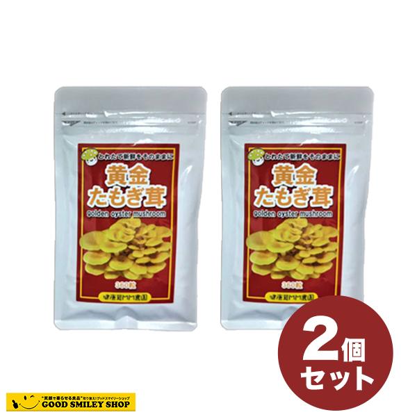 2袋 たもぎ茸 錠剤 160mg 361錠 たもぎだけ 無添加 黄金たもぎ茸 サプリメント 健康食品 タモギタケ 日本製 エルゴチオネン 美容 免疫 キシロース ベータグルガン