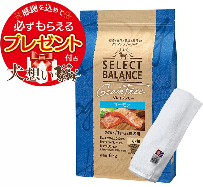 セレクトバランス グレインフリー アダルトサーモン 小粒 6kg【犬想いオリジナル今治ハンドタオルセット】【タオルカラー ホワイト】【正規品】