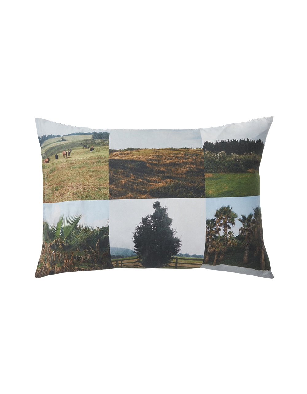 【MMLG】 MMLG PHOTOZENIAGOODS PILLOW COVER-A