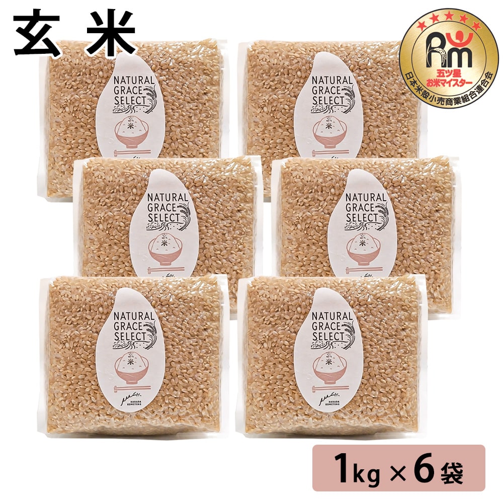 玄米 1kg×6袋 鹿児島県 鹿児島 お米 米 玄米 ご飯 ごはん 健康食 お米マイスター 五つ星 ギフト プレゼント