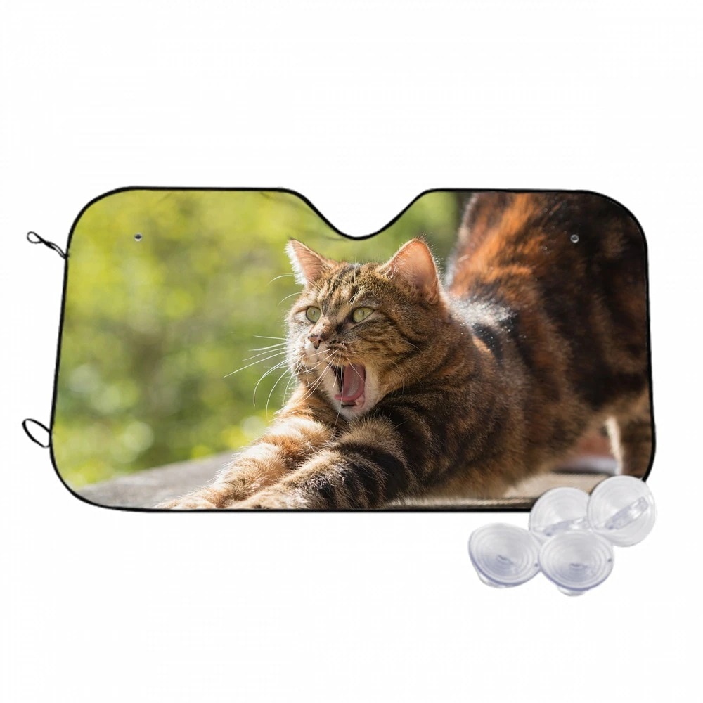 猫-疲れたあくび-ストレッチ 太陽耐熱性を遮断し