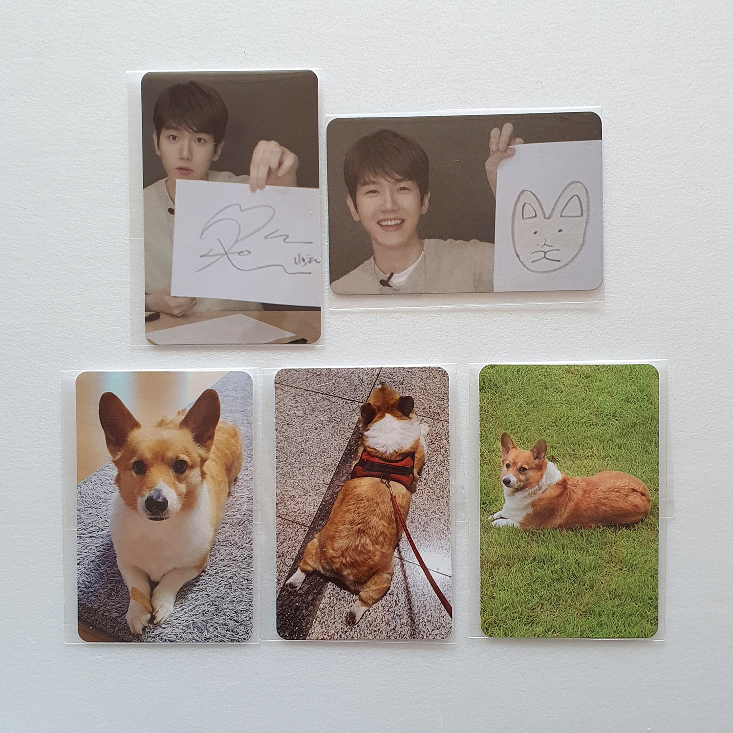 BAEKHYUN TEO-LAE-GI POP-UP STORE PHOTOCARD SET 2
