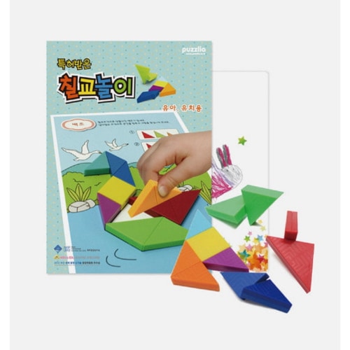 ブレインフォレストプレミアムマグネットチル教幼児幼稚園幼稚園児童家学院教授教区団体創造力