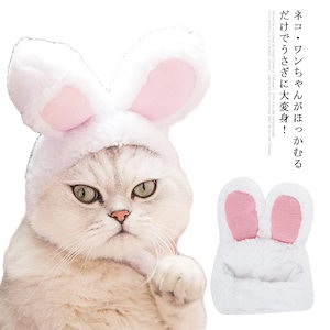 Qoo10] 猫用 帽子 うさぎ 兎の耳 ウサギ かぶ