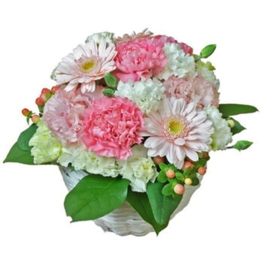 【倉庫直送】　ラウンドアレンジメント ピンク