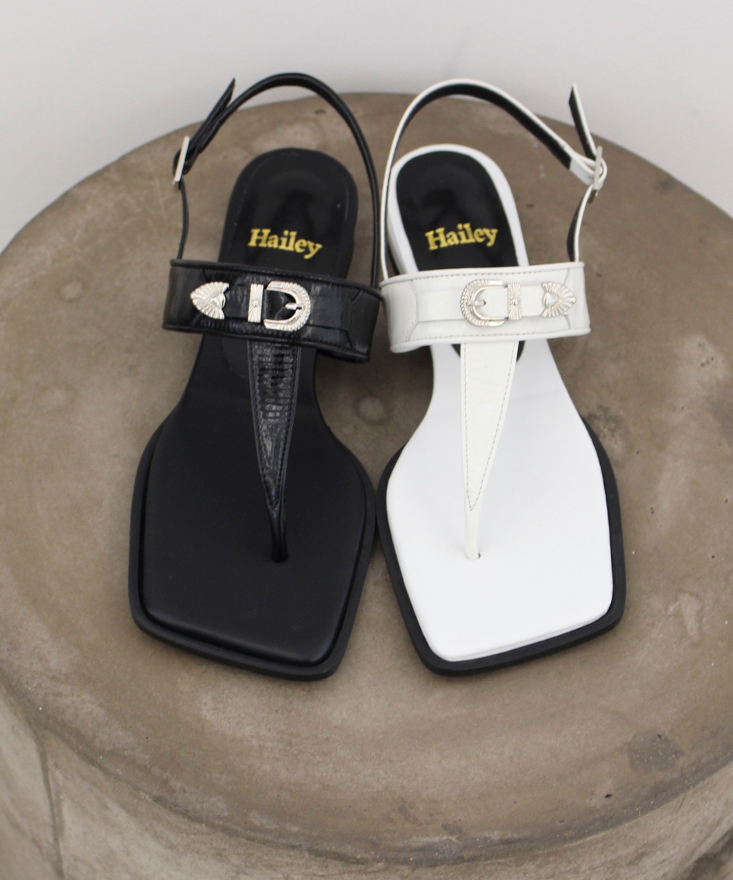 ヘイリーによる14日間の制作   HJ210055_2カラー