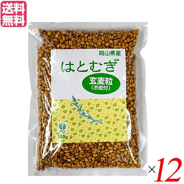 はと麦 はとむぎ 玄麦粒渋皮付 300g TAC21 12個セット
