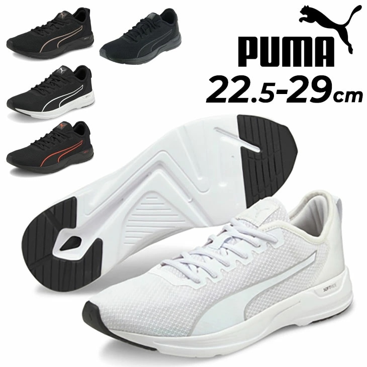 ランニングシューズ メンズ レディース アクセント ローカット/195515