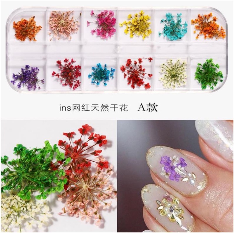 【10個セット】ネイルパーツ デコパーツ アクセサリー 花 ネイル 押し花 ドライフラワー 花材 フラワー