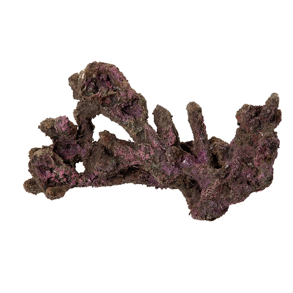 ＯＲＣＡ　ＯＣＥＡＮ　ＲＯＣＫ　２０　２３X２６X２５ｃｍ　ライブロックレプリカ　ＣＲＣ10―35―90―30―00