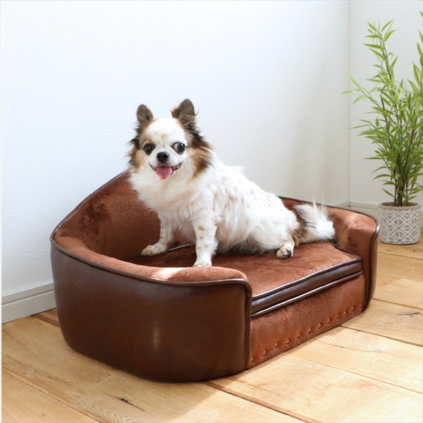 ペット用 ベッド ソファ 犬用 猫用 PEPE ペペ BR ブラウン 組立品 ペット用品