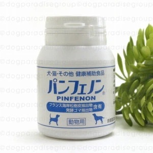 パンフェノン 120粒