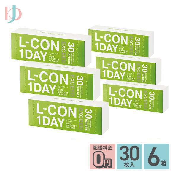 エルコンワンデーエクシード 30枚入 6箱 ワンデー lcon-ex