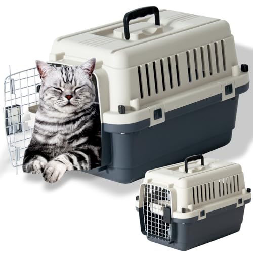 色：グレー サイズ：DX50A Mサイズ（小型) 【 IATA 基準クリア】デラックス キャリーバッ