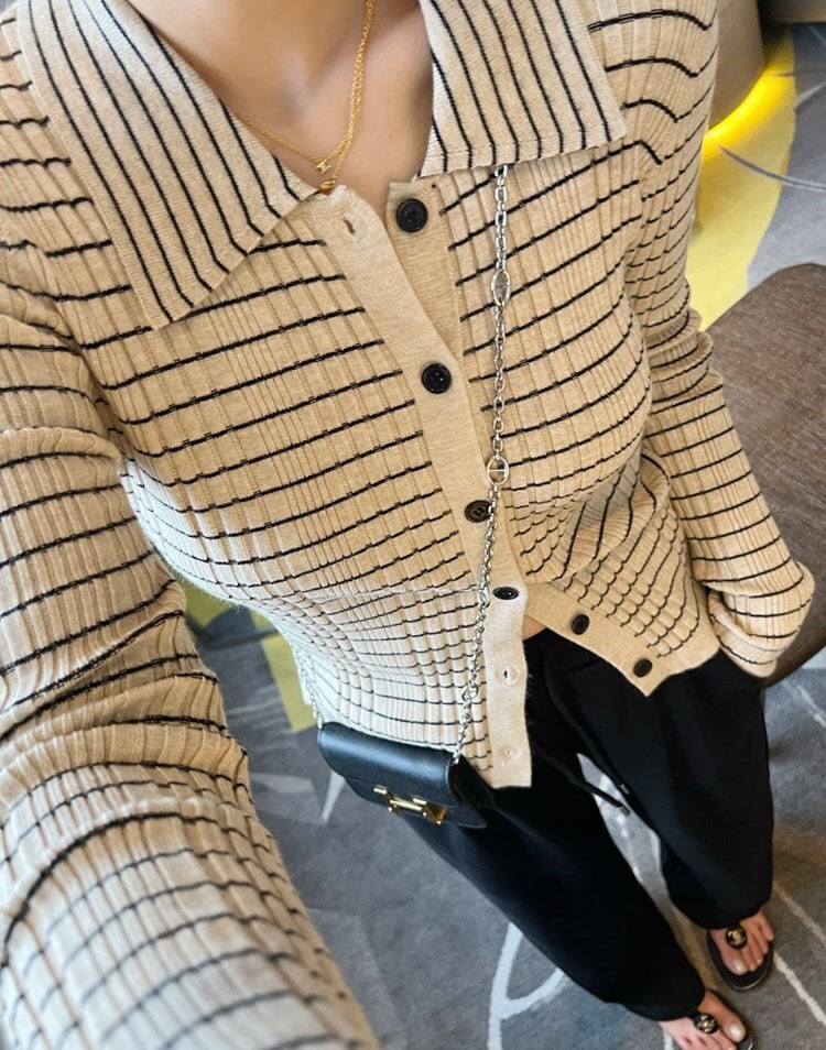 トップス カーディガン 上着 袖あり 長袖 襟付き 柄 ボーダー 秋 10代 20代 30代 レディース 女性用 OL 学生 通学 デート お出かけ 公園デビュー お泊まり 休日 旅行 高原 ガーデン